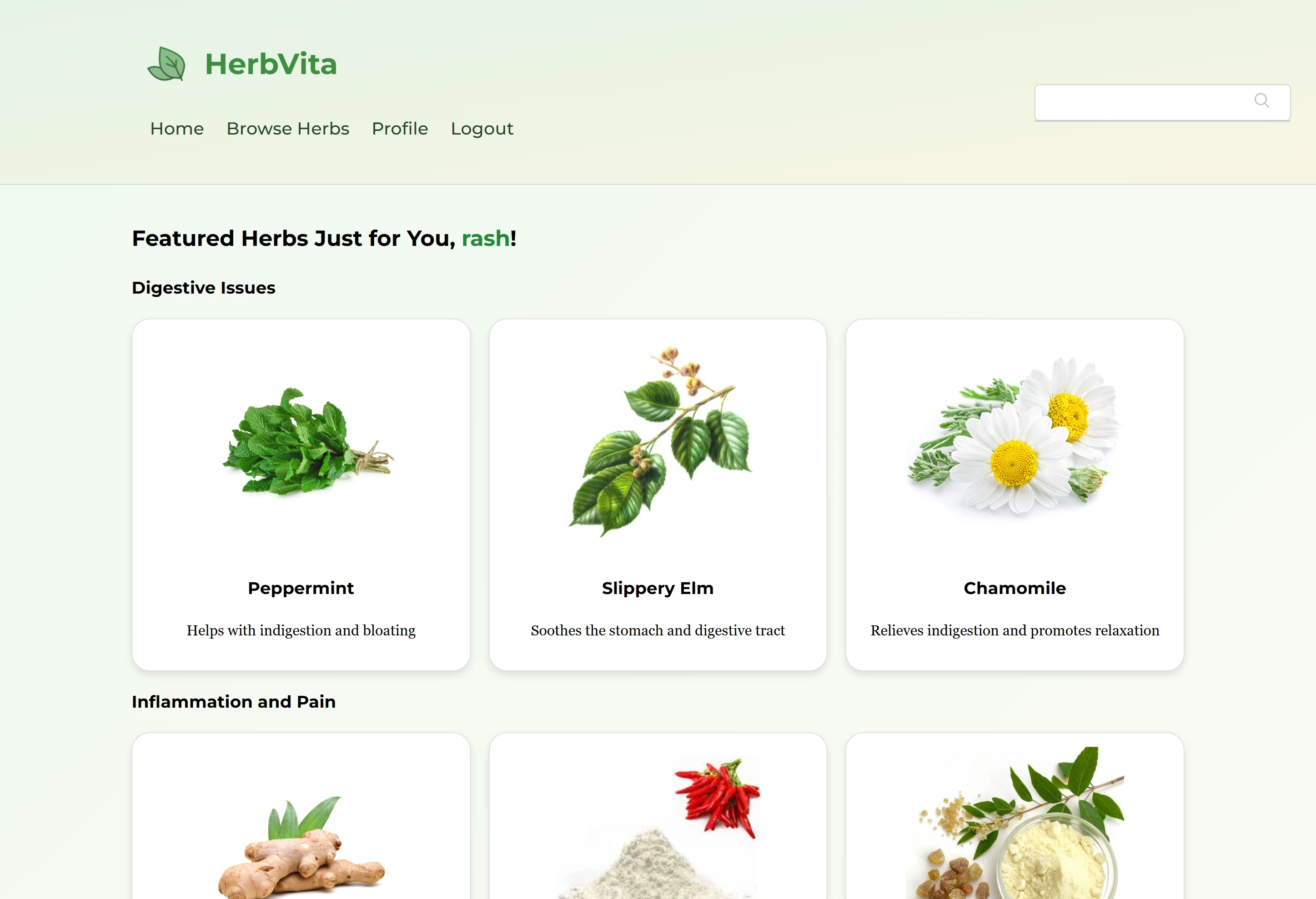 Herb Mockup 5